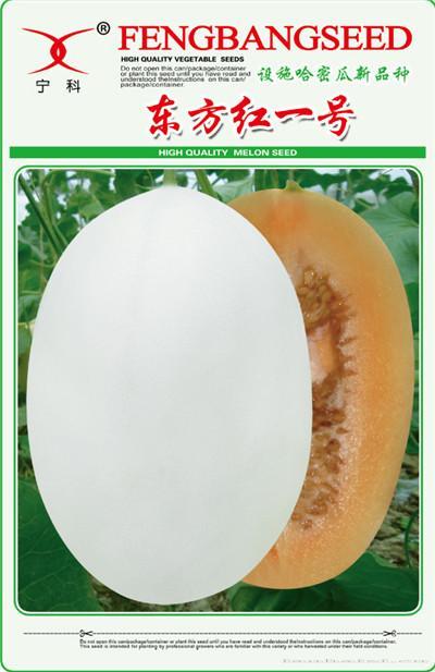 东方红一号——瓜类