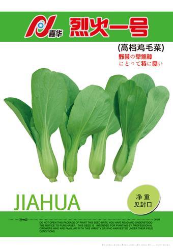 烈火一号高档鸡毛菜——其它