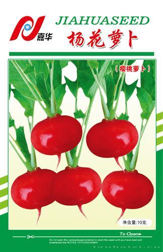 杨花萝卜——其它