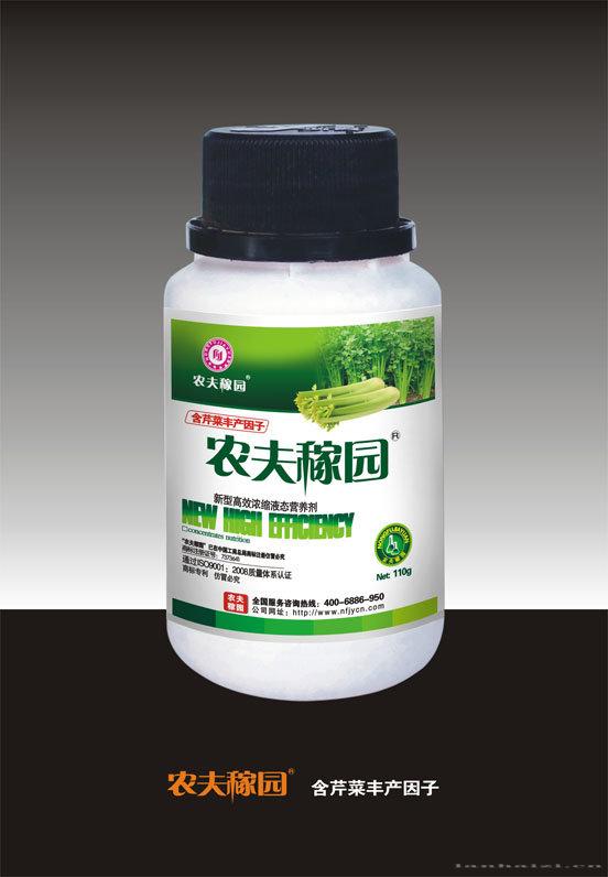 芹菜瓶装110G
