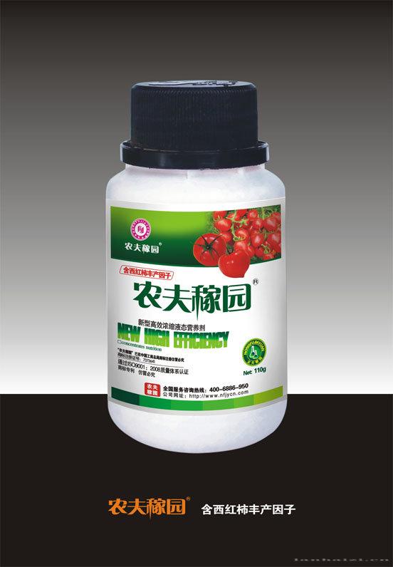 西红柿瓶装110G