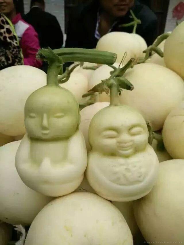 甜瓜