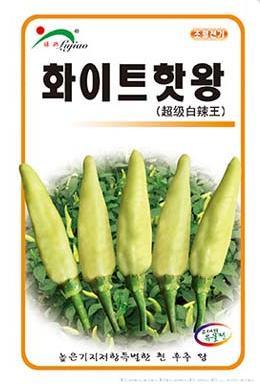 超级白辣王——朝天椒类