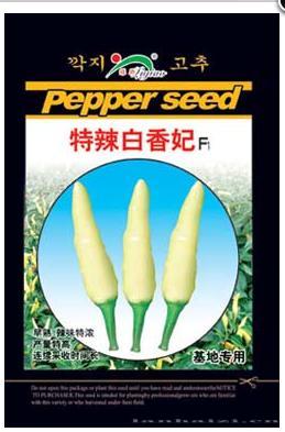 特辣白香妃——朝天椒类