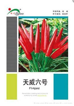 天威六号——朝天椒类