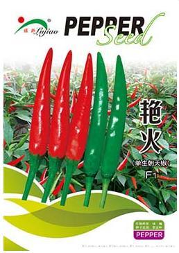 艳火——朝天椒类