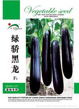 绿骄黑龙——茄果类