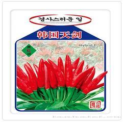 韩国天剑