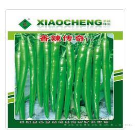 香辣传奇