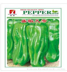 盛椒九号