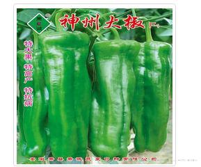 神州大椒