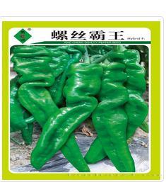 螺丝霸王
