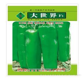 大世界