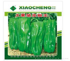 大果皱皮椒王