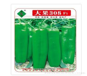 大果308