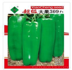 超级大果309