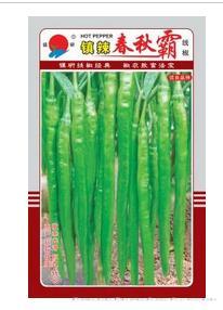 镇辣春秋霸