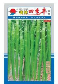 镇辣四季丰