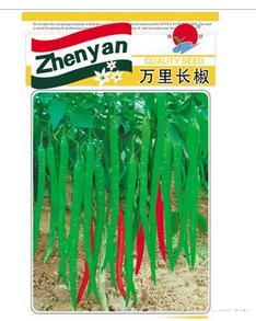 万里长椒