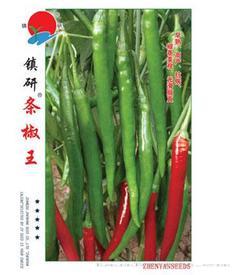 镇研条椒王