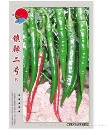 镇辣二号B