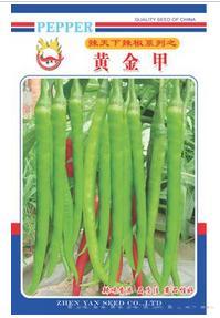 黄金甲
