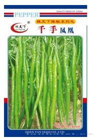 千手凤凰