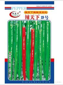 辣天下19号