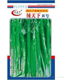 辣天下16号