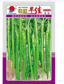 镇辣早佳