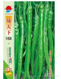 辣天下168