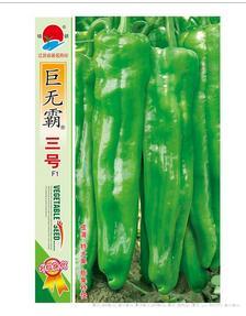 巨无霸三号