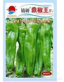 镇研鼎椒王