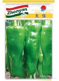 太保