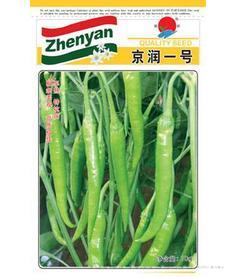 京润一号