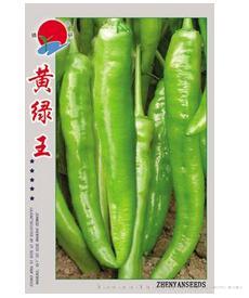 黄绿王