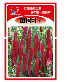 中国红——加工型辣椒种子