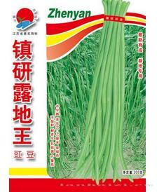 镇研露地王