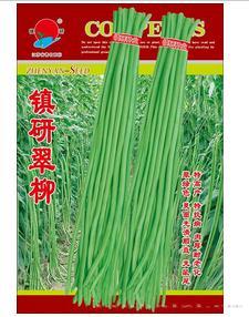 镇研翠柳