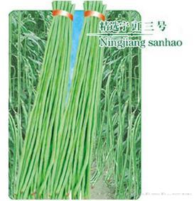 特选宁豇三号
