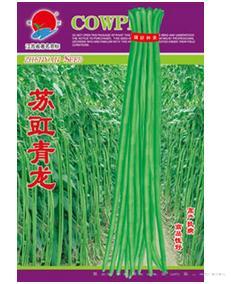 苏豇青龙
