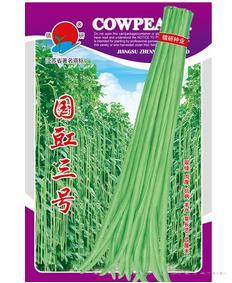国豇三号