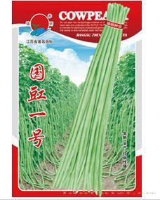 国豇一号