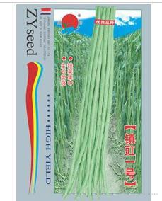镇豇一号