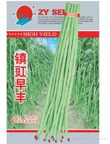 镇豇早丰