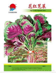 花红苋菜