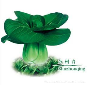 苏州青