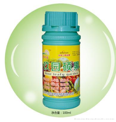 玖园硕果