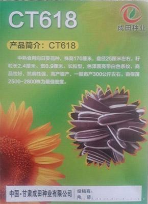 CT618 - 向日葵