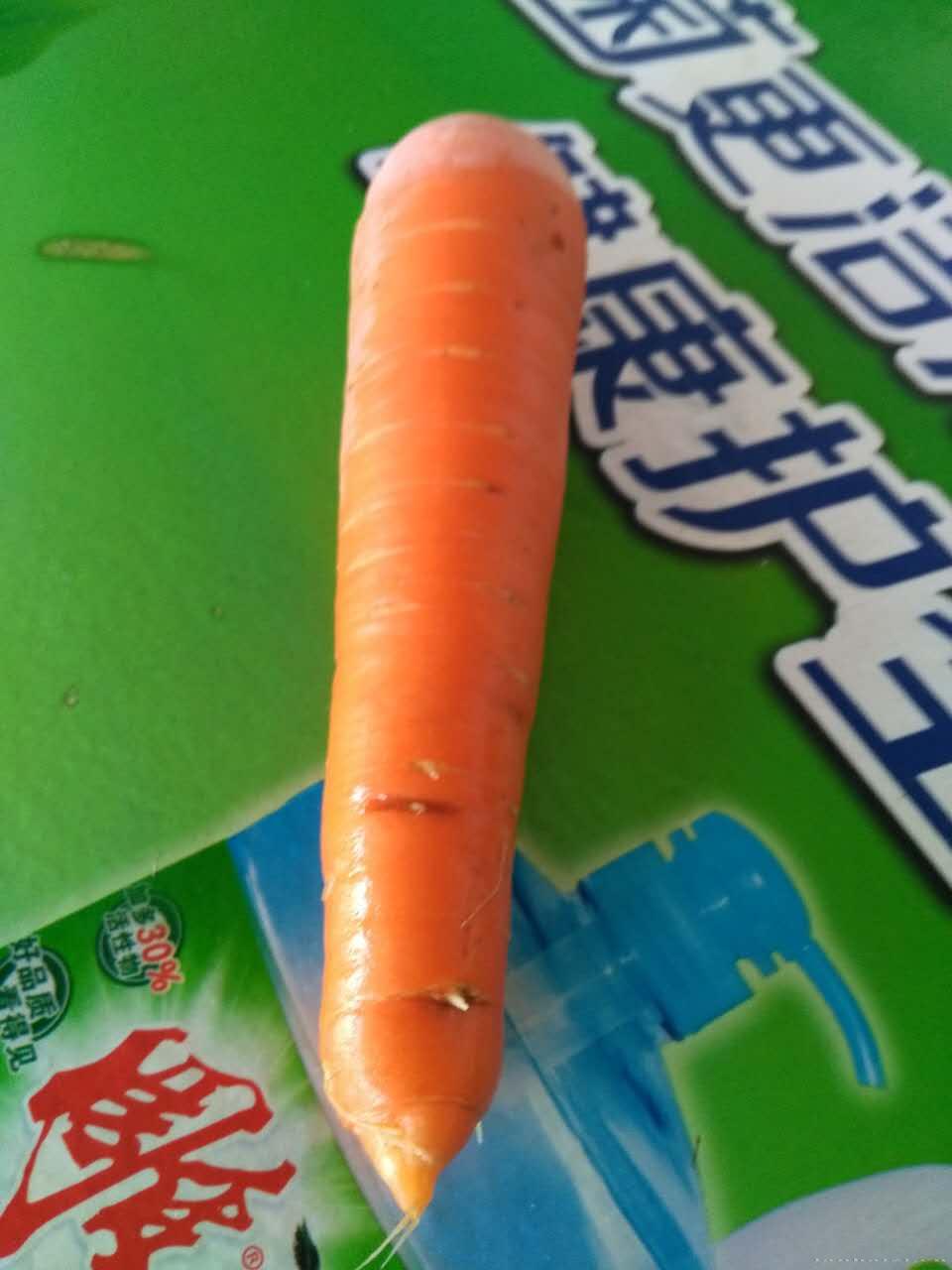 三红七寸参胡萝卜